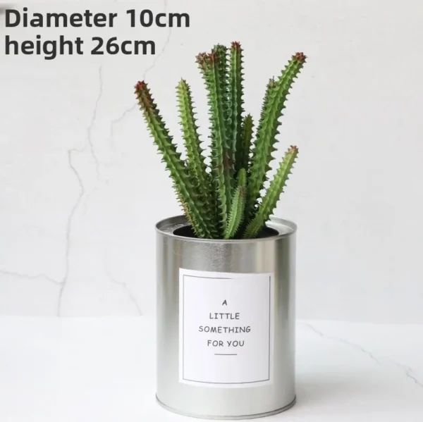 Nordic Faux Succulent Plant Set – Home & Garden Decor - Image 23