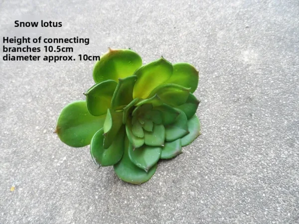Artificial Succulent Plant in Pot – Desk & Home Decor - Image 23