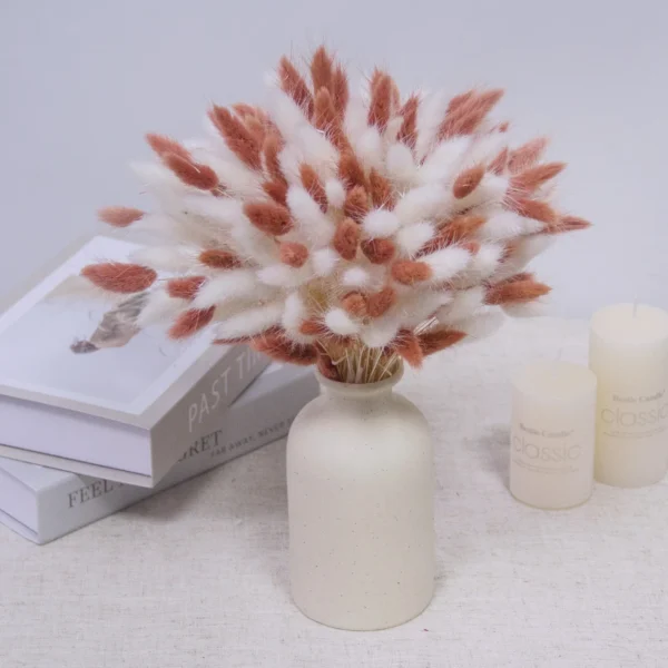 Real Bunny Tails Dried Flowers 60 Stems Pampas Bouquet - Image 14