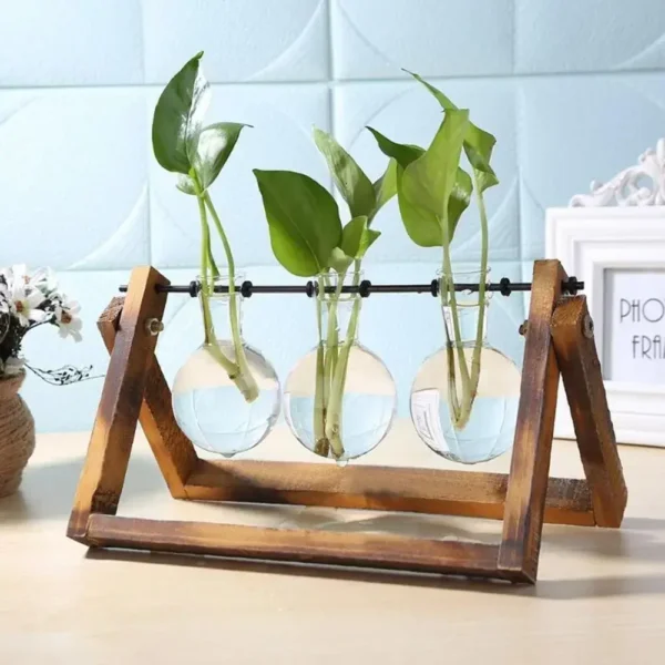 Vintage Glass Hydroponic Vase with Wooden Frame - Image 20