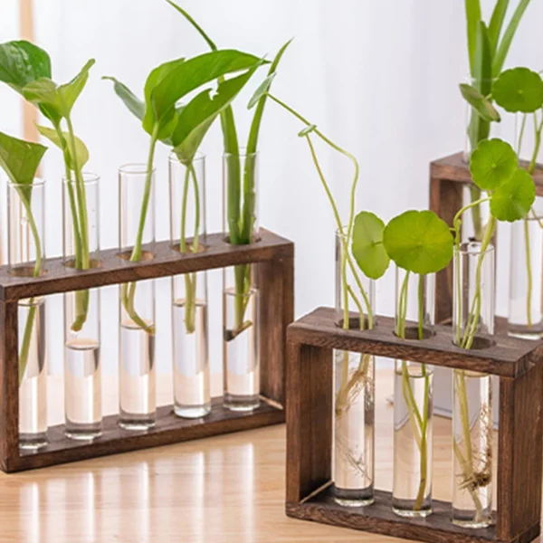 Modern Hydroponic Glass Vase with Wooden Frame - Image 10