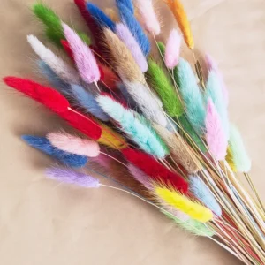 Real Bunny Tails Dried Flowers 60 Stems Pampas Bouquet