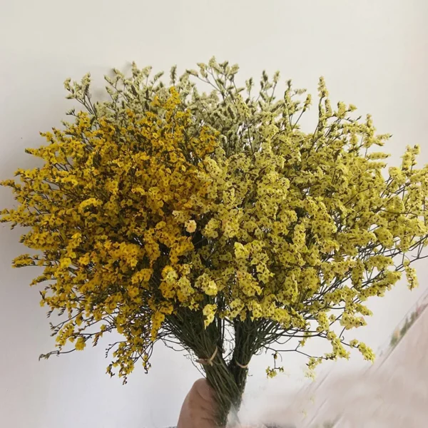 Crystal Dried Flower Bouquet – Eternal Plum Branch Decor - Image 2