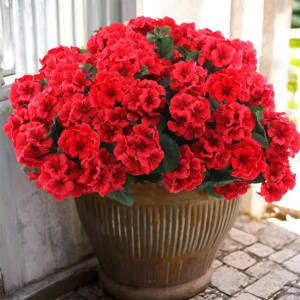 Artificial Geranium Bouquet – UV Resistant Home Decor