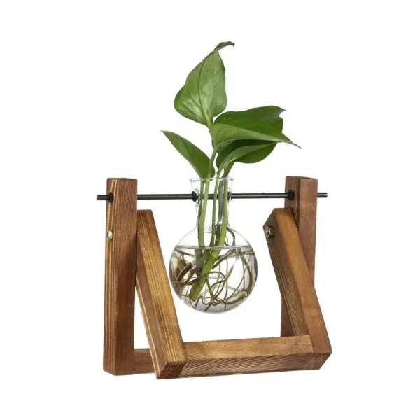 Vintage Glass Hydroponic Vase with Wooden Frame - Image 21