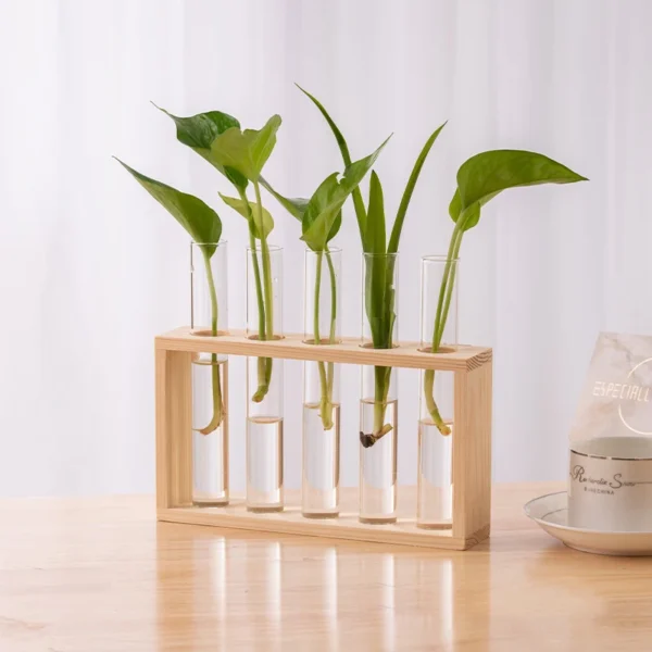 Modern Hydroponic Glass Vase with Wooden Frame - Image 7
