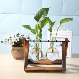 Vintage Glass Hydroponic Vase with Wooden Frame