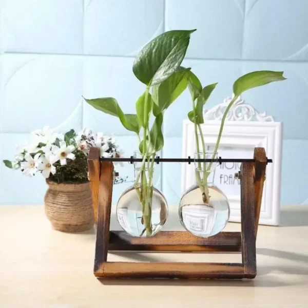 Vintage Glass Hydroponic Vase with Wooden Frame