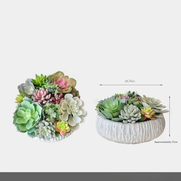 Morning Glow & Terglow Succulent Plant Pot Decor - Image 10