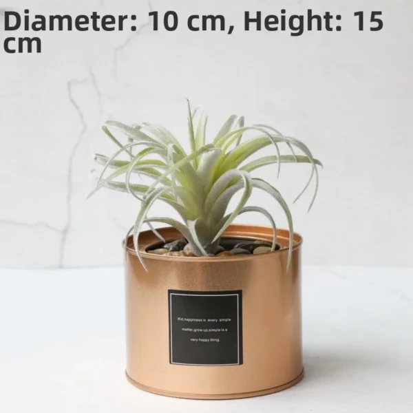Nordic Faux Succulent Plant Set – Home & Garden Decor - Image 34