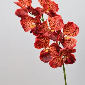 4Pcs Real Touch Vanda Orchid Latex Flowers – Anniversary Decor