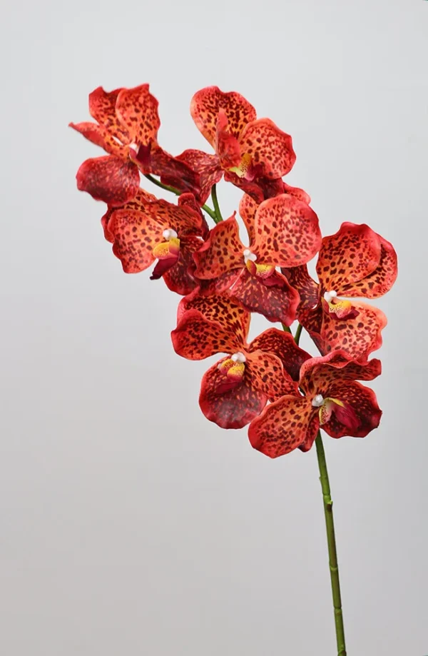 4Pcs Real Touch Vanda Orchid Latex Flowers – Anniversary Decor