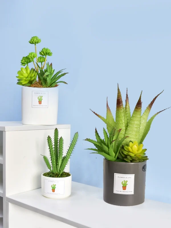 Artificial Succulent Plant Pot – Home & Office Decoration - Image 2