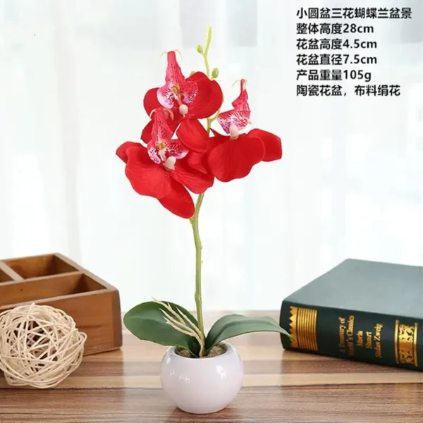 Artificial Bonsai Succulent Plant with Pot – Home & Office - Image 13