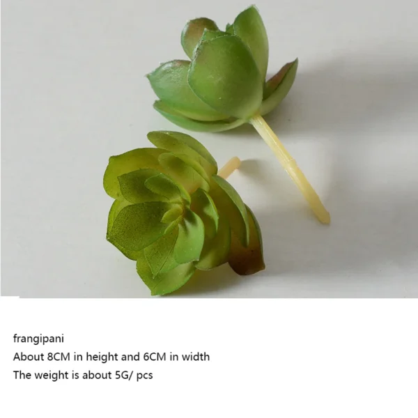 12pcs Artificial Succulent Plants – Mini Green Decor Set - Image 9