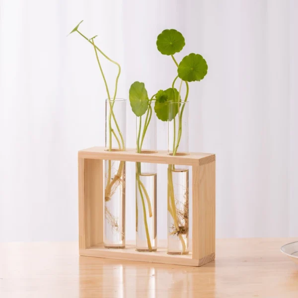 Modern Hydroponic Glass Vase with Wooden Frame - Image 3