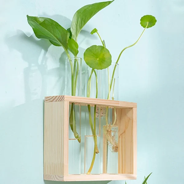 Modern Hydroponic Glass Vase with Wooden Frame - Image 5