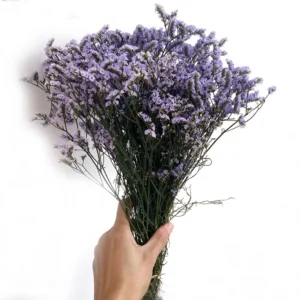 Crystal Dried Flower Bouquet – Eternal Plum Branch Decor