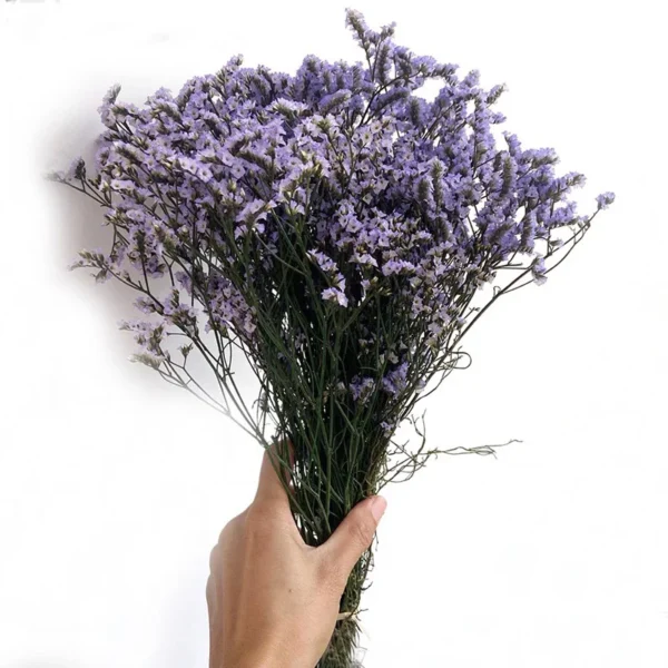 Crystal Dried Flower Bouquet – Eternal Plum Branch Decor