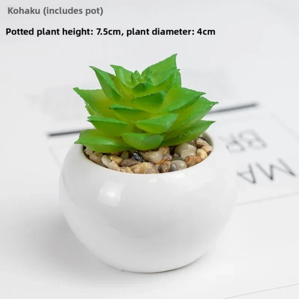 Nordic Artificial Succulent Plant – Cute Small Potted - Image 6