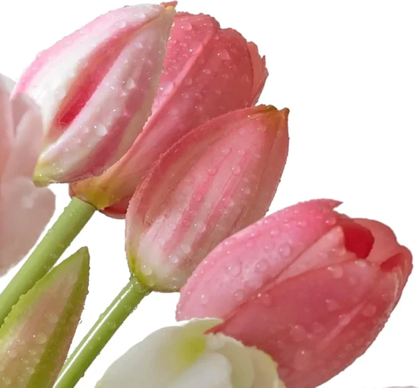 YeeNanee Pink & White Artificial Tulip Bouquet, 15pcs - Image 2