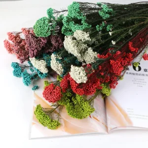 Winter Rice Flower Bouquet – Natural Dried Floral Decor