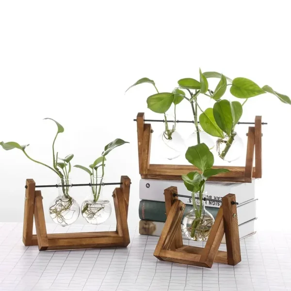 Vintage Glass Hydroponic Vase with Wooden Frame - Image 14
