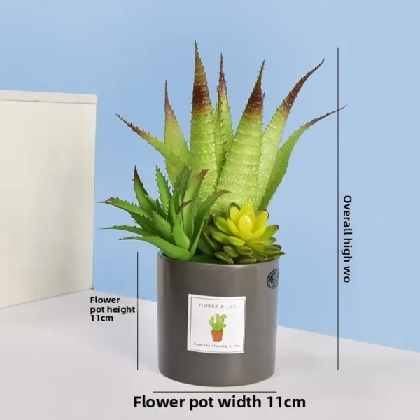 Artificial Succulent Plant Pot – Home & Office Decoration - Image 12