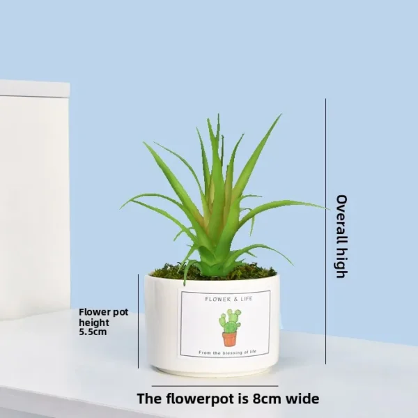 Artificial Succulent Plant Pot – Home & Office Decoration - Image 13