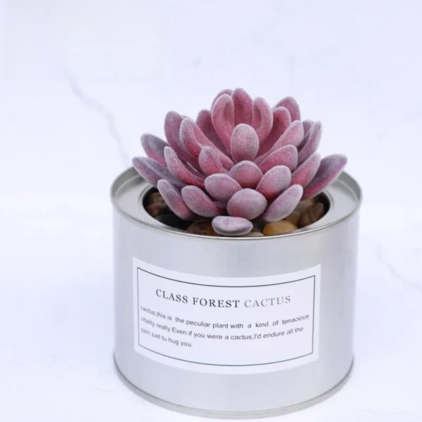 Nordic Faux Succulent Plant Set – Home & Garden Decor - Image 17