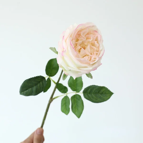 Congratulations Tea Rose Branches – 5pcs Artificial Flowers - Image 11