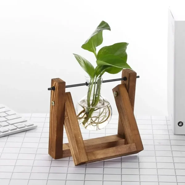 Vintage Glass Hydroponic Vase with Wooden Frame - Image 18