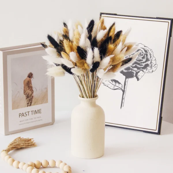 Real Bunny Tails Dried Flowers 60 Stems Pampas Bouquet - Image 10