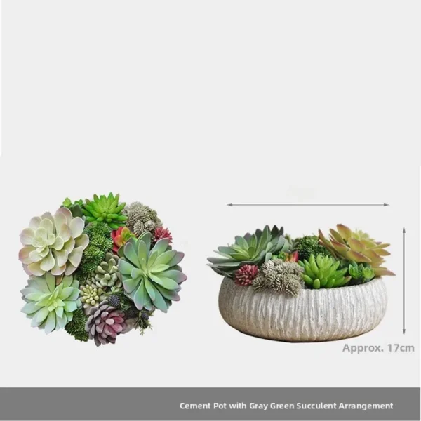 Morning Glow & Terglow Succulent Plant Pot Decor - Image 8