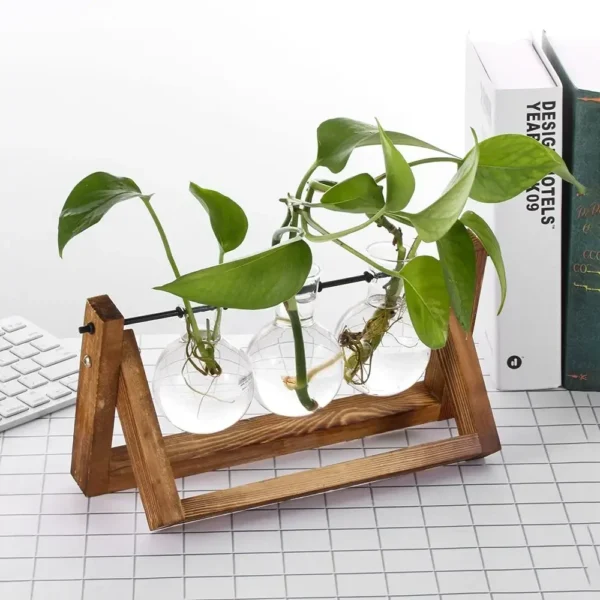Vintage Glass Hydroponic Vase with Wooden Frame - Image 10