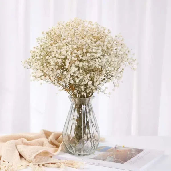 Natural Dried Flowers Mix – Eternal Baby Breath Bouquet - Image 12
