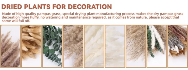 70pcs Dried Pampas Grass Bouquet – Rustic Orange Decor - Image 34