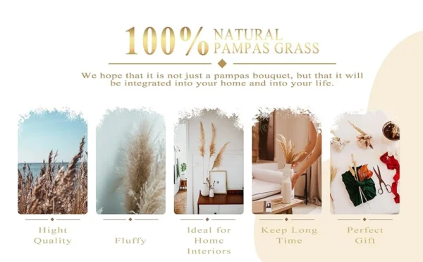 70pcs Dried Pampas Grass Bouquet – Rustic Orange Decor - Image 18