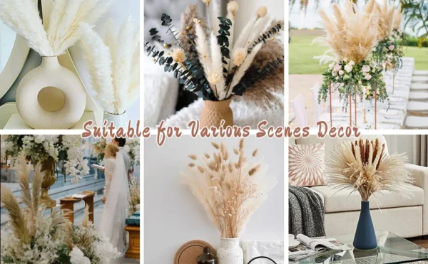 70pcs Dried Pampas Grass Bouquet – Rustic Orange Decor - Image 33