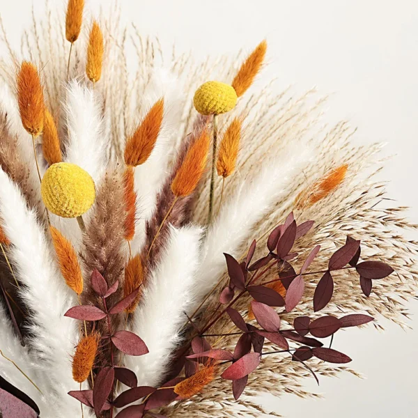 70pcs Dried Pampas Grass Bouquet – Rustic Orange Decor - Image 23
