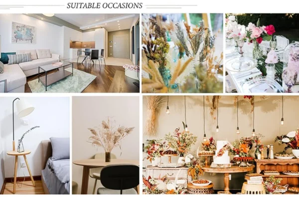 70pcs Dried Pampas Grass Bouquet – Rustic Orange Decor - Image 32